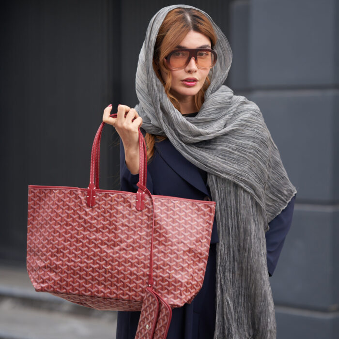 کیف گویارد (Goyard) بزرگ 50125
